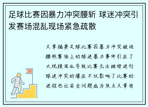 足球比赛因暴力冲突腰斩 球迷冲突引发赛场混乱现场紧急疏散