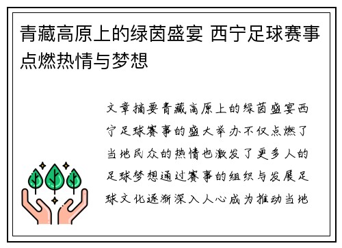 青藏高原上的绿茵盛宴 西宁足球赛事点燃热情与梦想