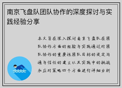 南京飞盘队团队协作的深度探讨与实践经验分享